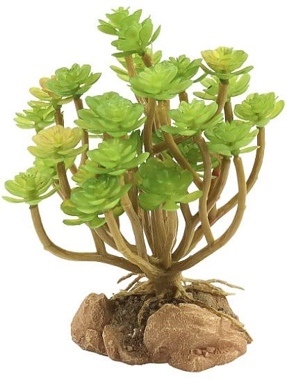 Zoo Med Laboratories Naturalistic Desert Plant Tree Houseleek Plastic Plant Terrarium Décor  