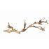 Exo Terra Forest Branch Reptile Terrarium and Aquarium Décor - Medium
