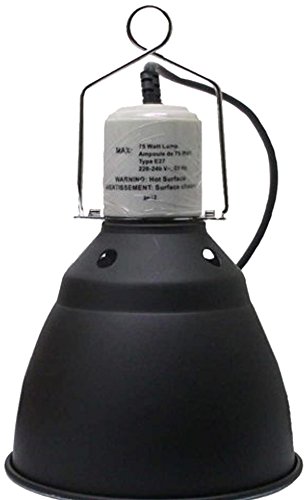 Exo Terra Light Dome Aluminum UV Reflector Lamp for Reptile Terrarium