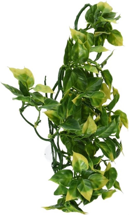 Exo Terra Jungle Amapallo Plastic Reptile Terrarium Plant - Medium