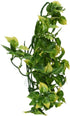 Exo Terra Jungle Amapallo Plastic Reptile Terrarium Plant - Medium
