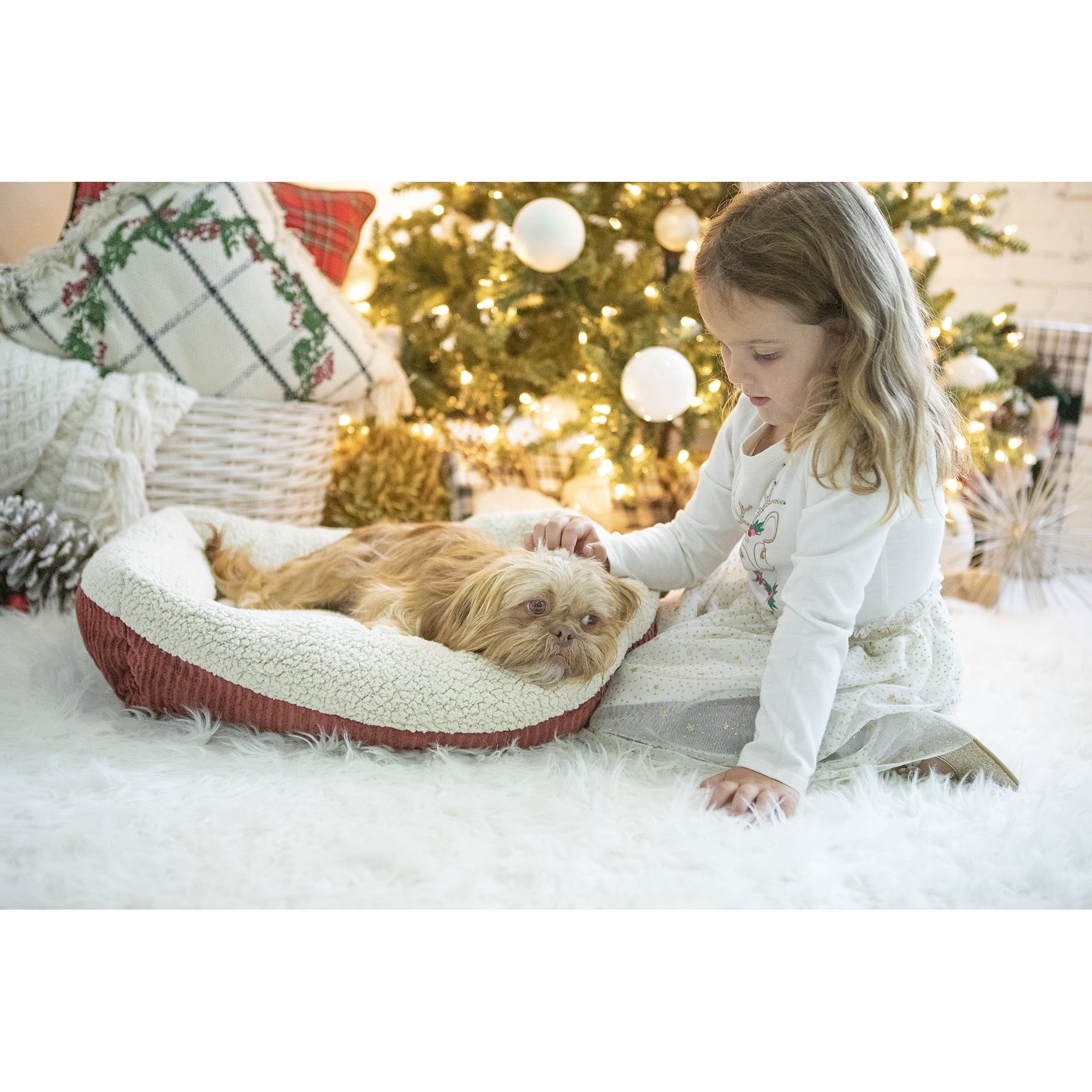 Petmate Aspen Self-Warming Rounded Sherpa Dog Bed - Barn Red/Cream - L:19.5 X W:19.5 X H:7 Inches