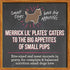 Merrick Grain-Free Lil' Plates Dinner Duo Beef and Chicken Small-Breed Wet Dog Food Trays - Variety Pack - 3.5 Oz - Case of 12