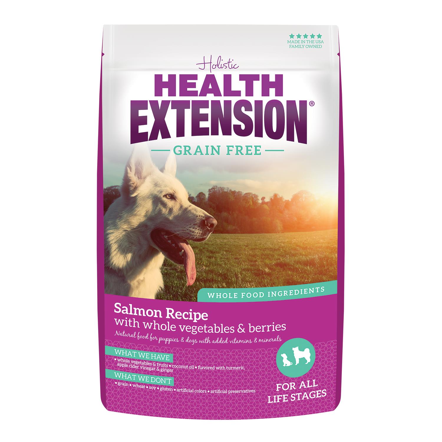 Health Extension Grain-Free Salmon Dry Dog Food - 1 Lb  