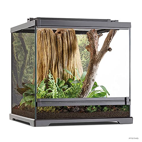 Exo Terra Dart Frog Front Opening Terrarium - L:18 X W:18 X H:18 Inches