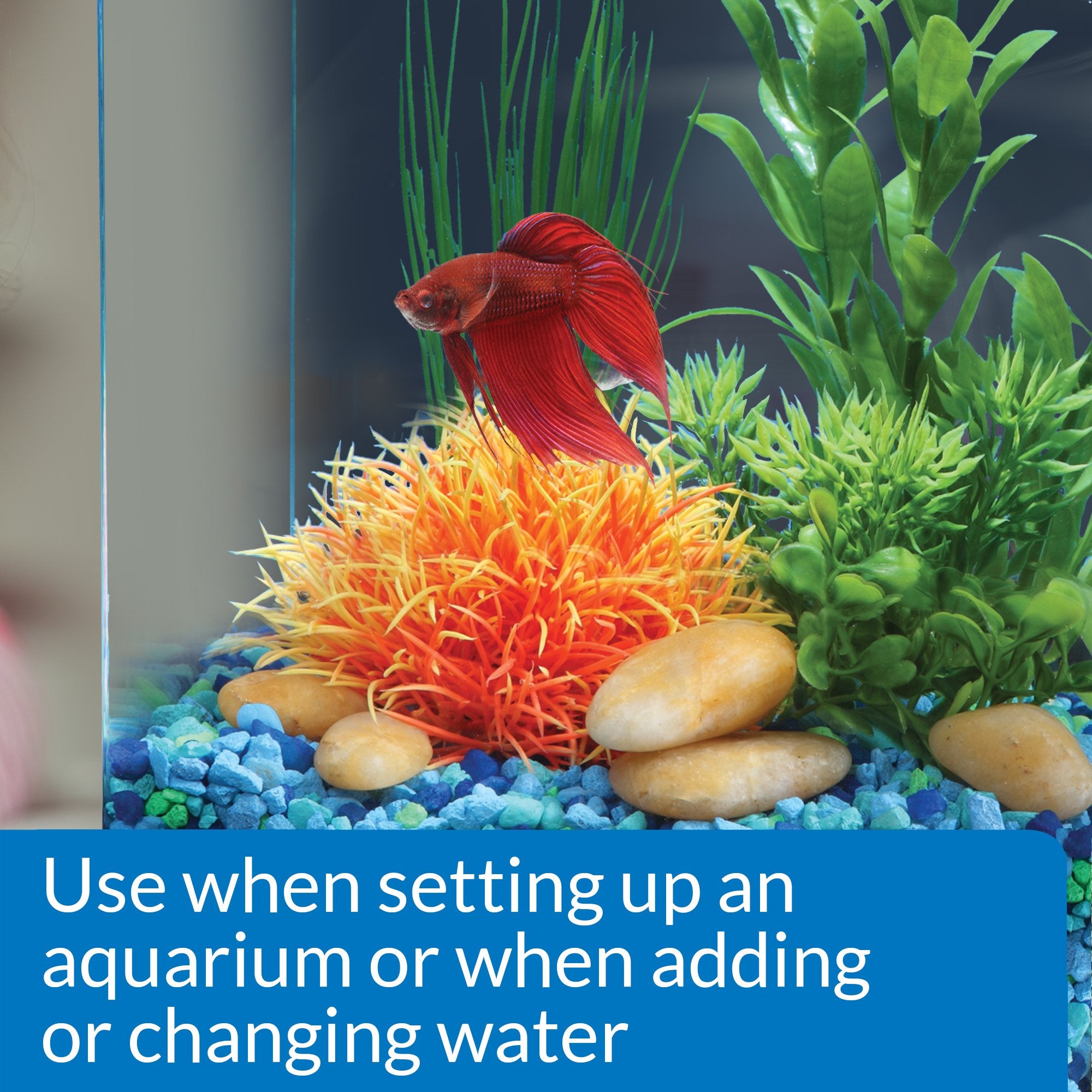 API Betta Water Conditioner Aquarium Water Conditioner - 1.7 Oz