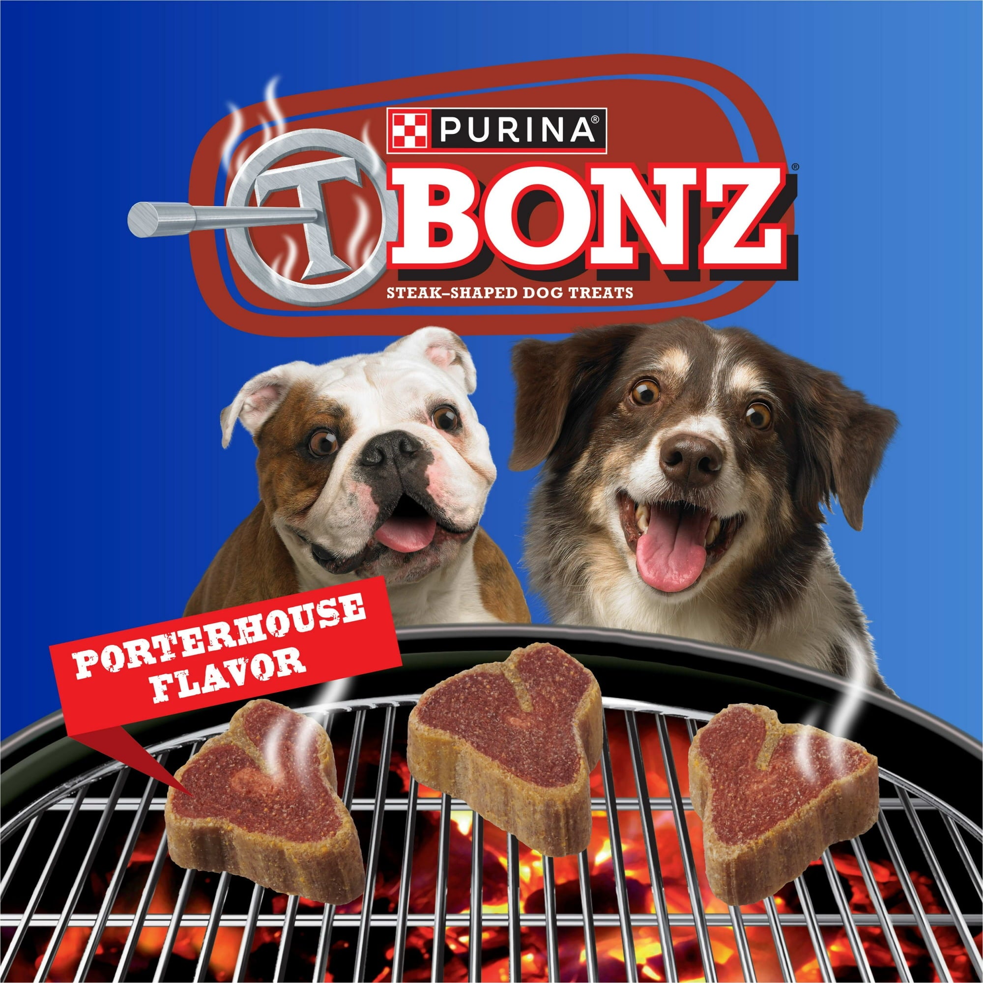 Purina T-Bonz Porterhouse Flavored Steak Shaped Soft and Chewy Dog Treats - 12 Oz - Case of 5