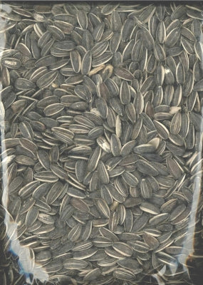 Sunseed Bulk Striped Sunflower Seeds Wild Bird Food - 40 Lbs Default Title