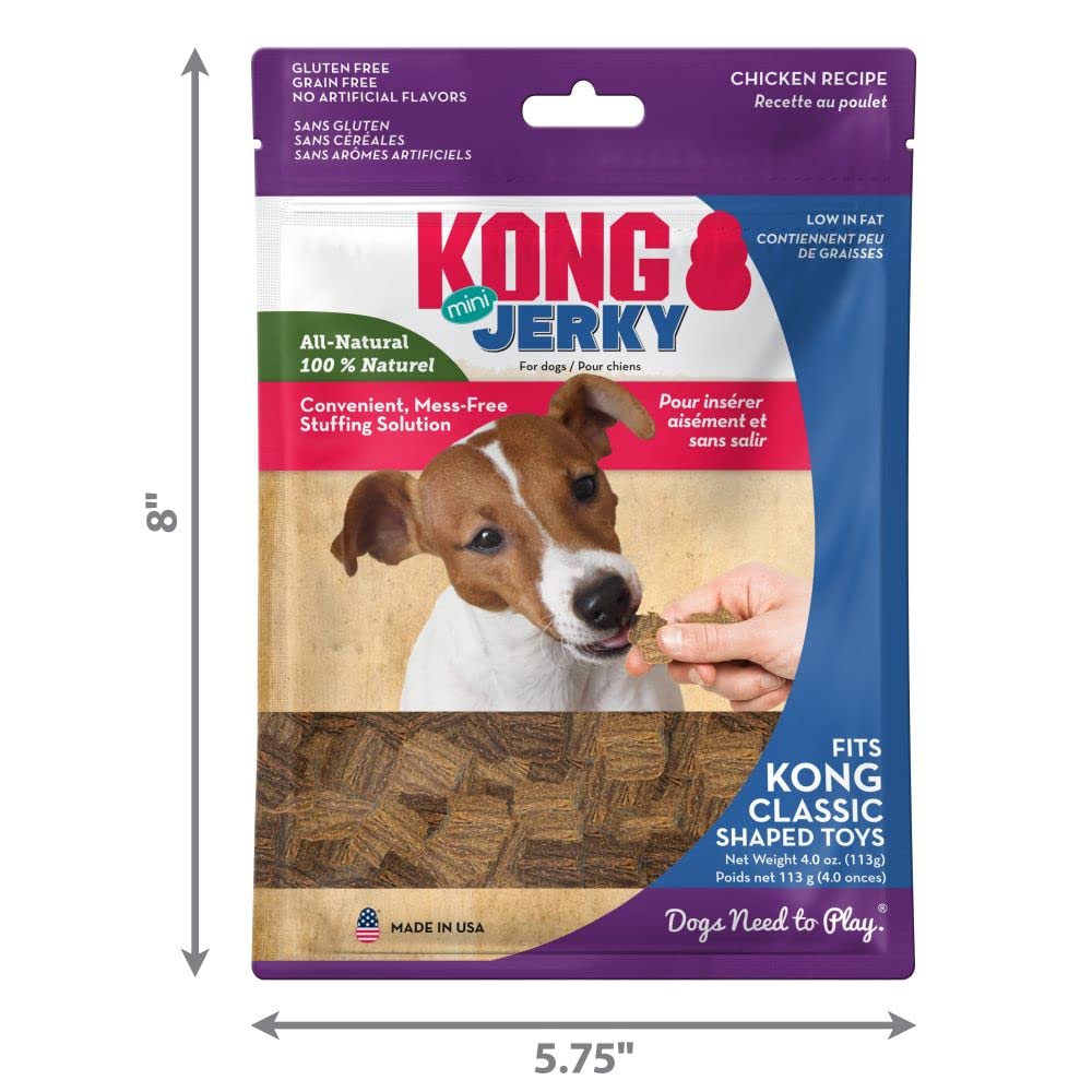 Kong Salmon Bites Soft and Chewy Dog Treats - Mini - 5 Oz  