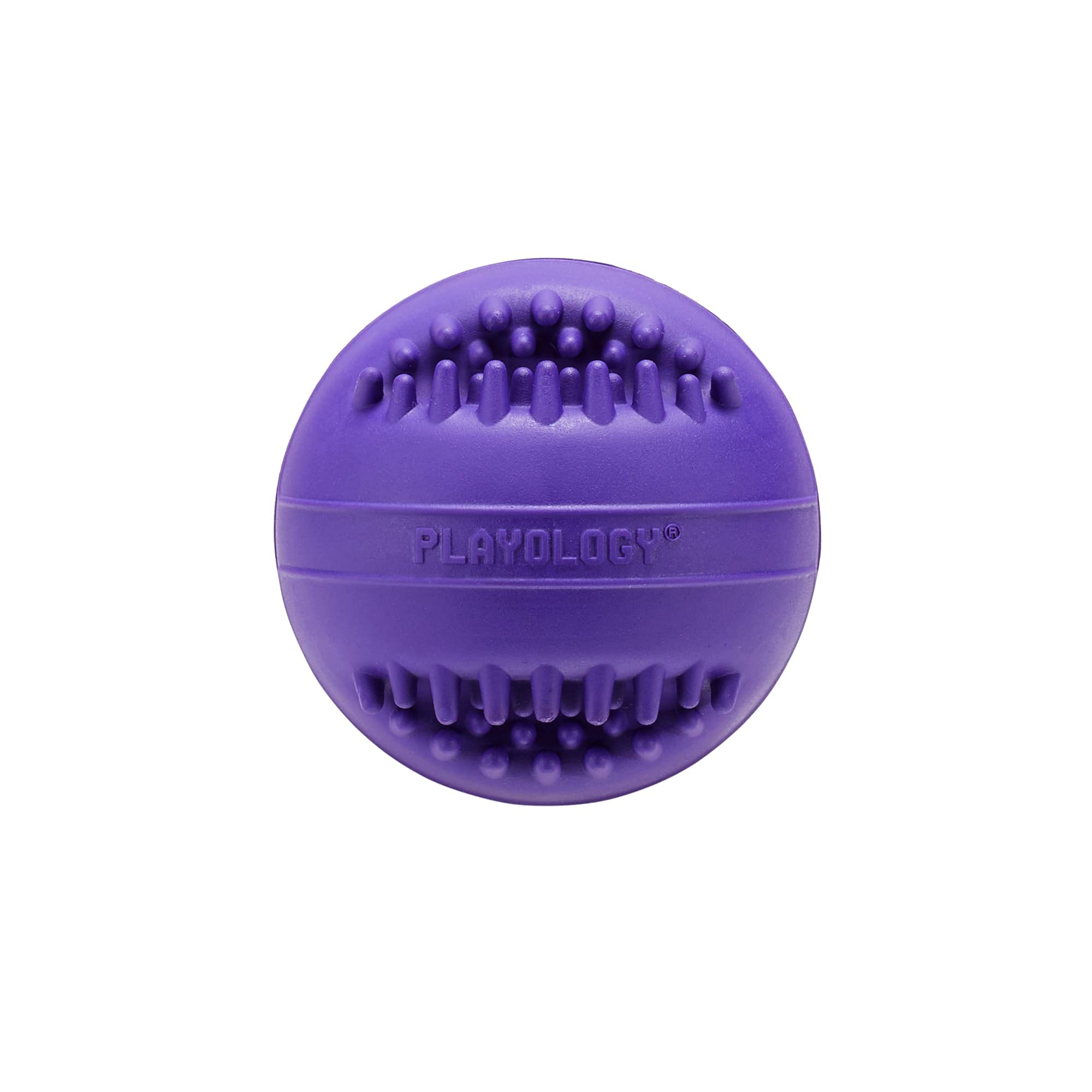 Playology Pork Scented Dental Chew Ball Rubber Dog Toy with Encapsiscent Technology - Medium  