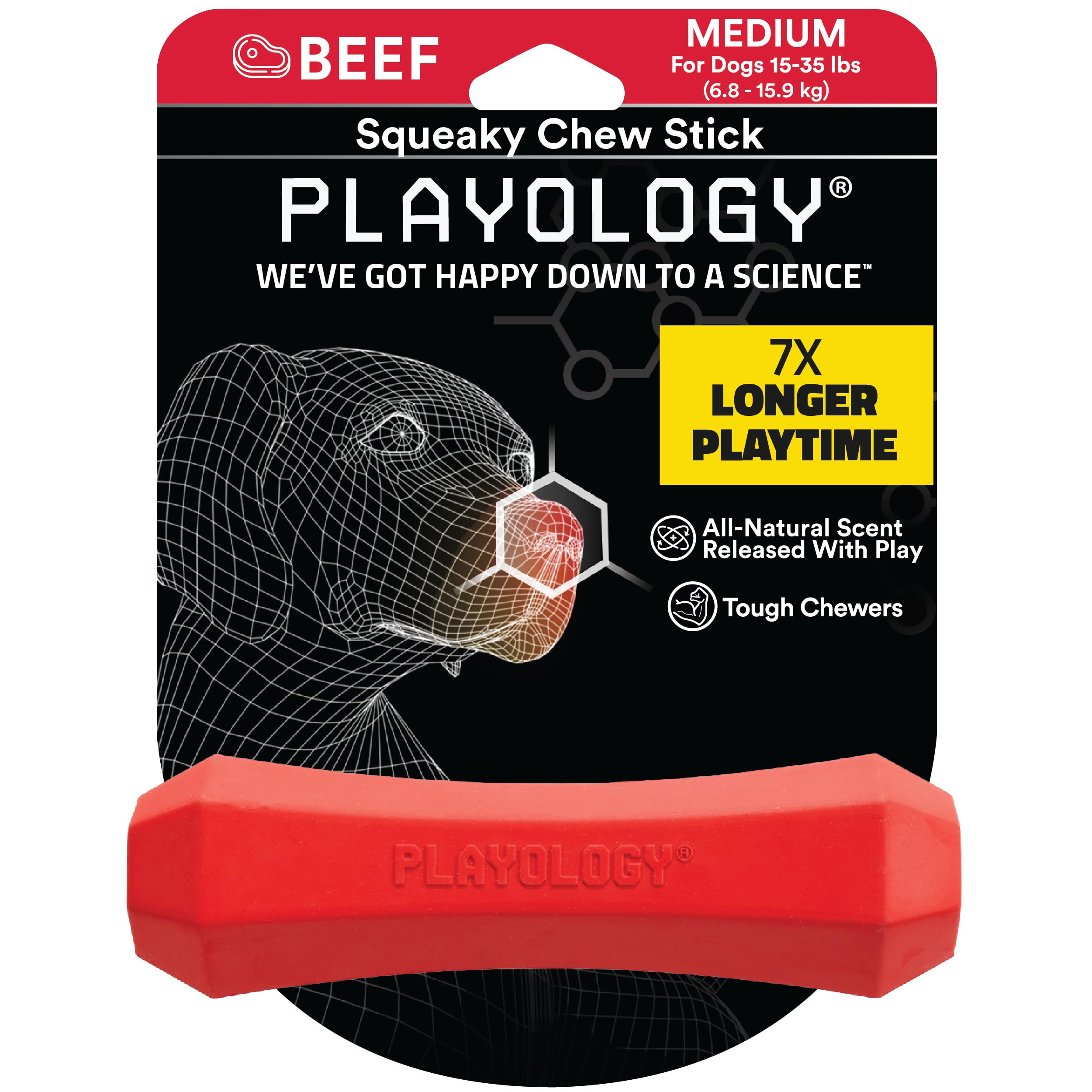 Playology Beef Scented Squeaky Chew Stick Floating Rubber Dog Toy with Encapsicent Tech - Medium  