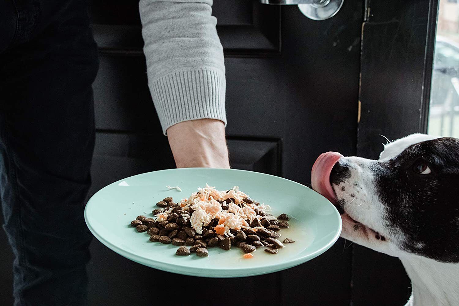 Nulo Freestyle Chicken Green Beans in Broth Wet Dog Food Topper - 2.8 Oz - Case of 24