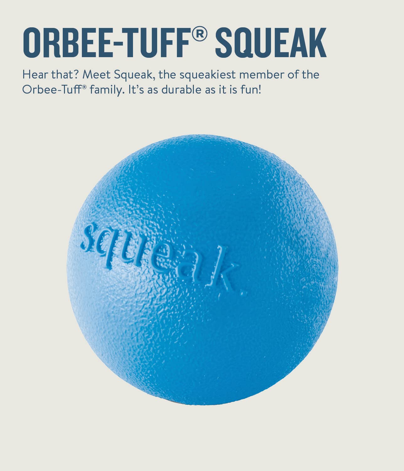 Outward Hound Planet Dog Orbee Tuff Squeak and Fetch Ball Dog Toy - Blue  