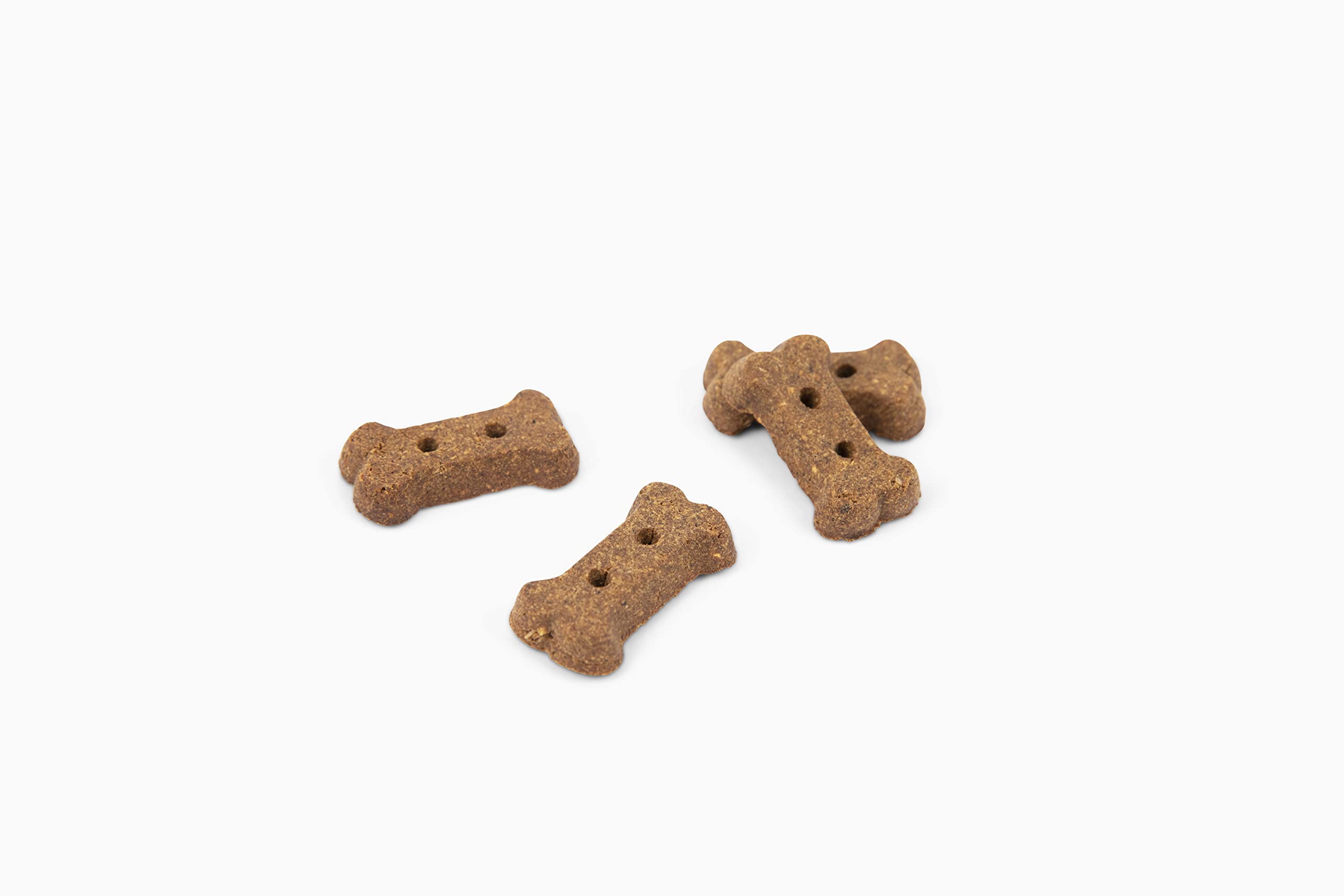 Jiminy's Cricket with Seeds Lentils Peanut Butter and Cranberry Soft and Chewy Dog Treats - 6 Oz  