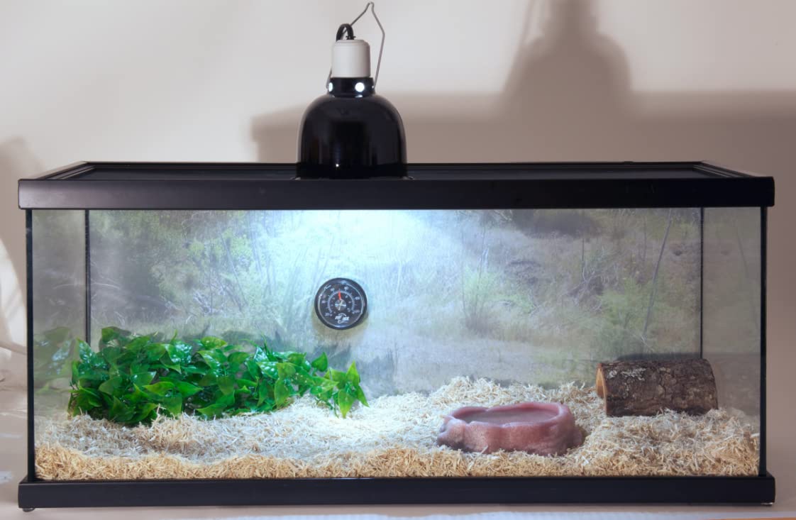 Zoo Med Laboratories ReptiHabitat Snake Terrarium Tank Starter Kit - 40 Gallons - L:36" X W:18" X H:18" Inches  