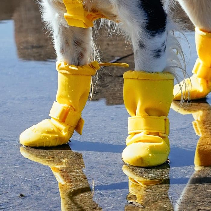 Canada Pooch Torrential Tracker Dog Boots