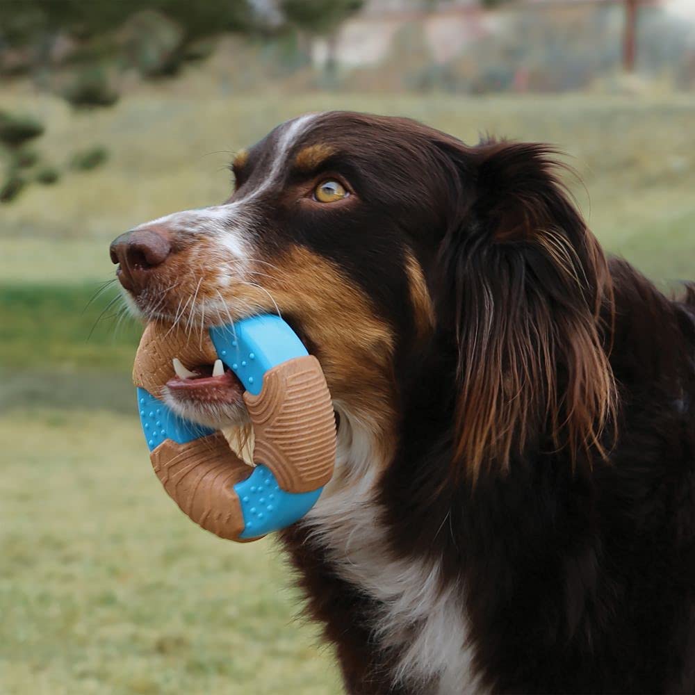 Kong CoreStrength Bamboo Infused Bone Dog Toy - Small  