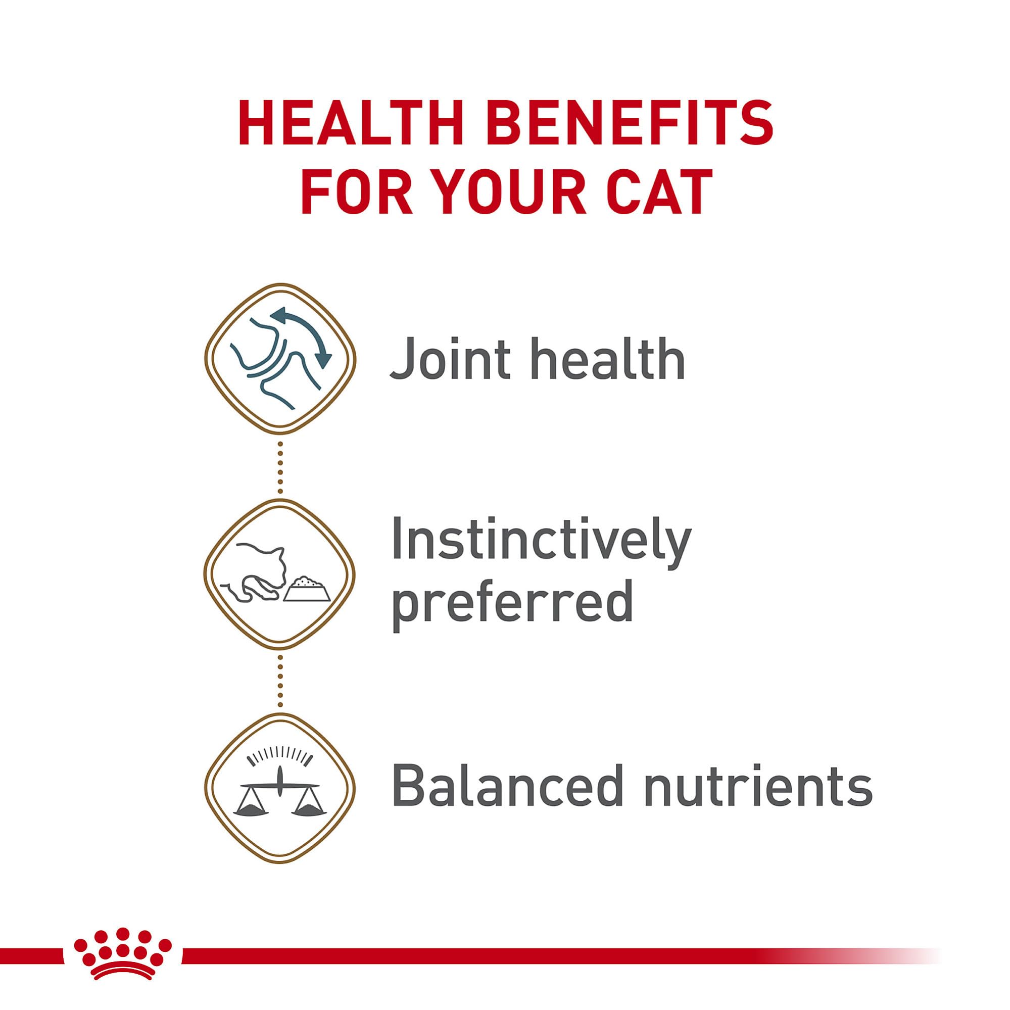 Royal Canin Feline Health Nutrition Loaf in Sauce Aging Adult Senior 12+ Dry Cat Food - 5.1 Oz - Case of 24  