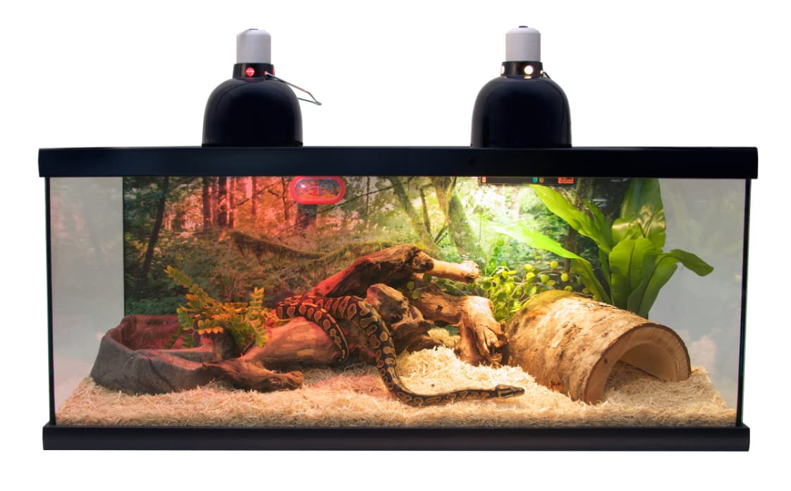 Zoo Med Laboratories ReptiHabitat Snake Terrarium Tank Starter Kit - 40 Gallons - L:36