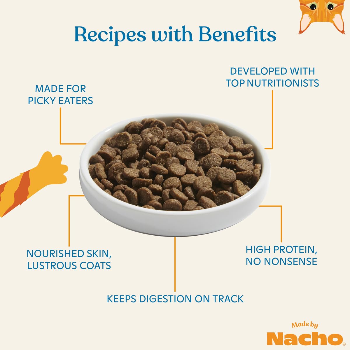 Made by Nacho Digestive Support Turkey and Pumpkin Dry Cat Food - 4 Lbs  