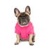 Canada Pooch Torrential Tracker Dog Raincoat - Pink