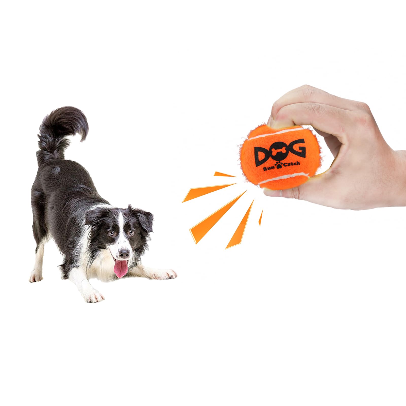 Snugarooz Deep Space Tennis Balls Squeak and Fetch Dog Toys - 3 Pack  