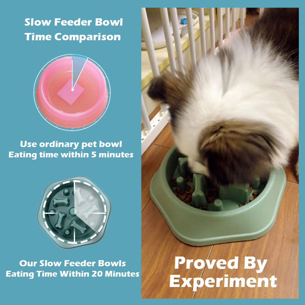 Innovative Pet SloDog Slow Feeding Dog Bowl - Green  