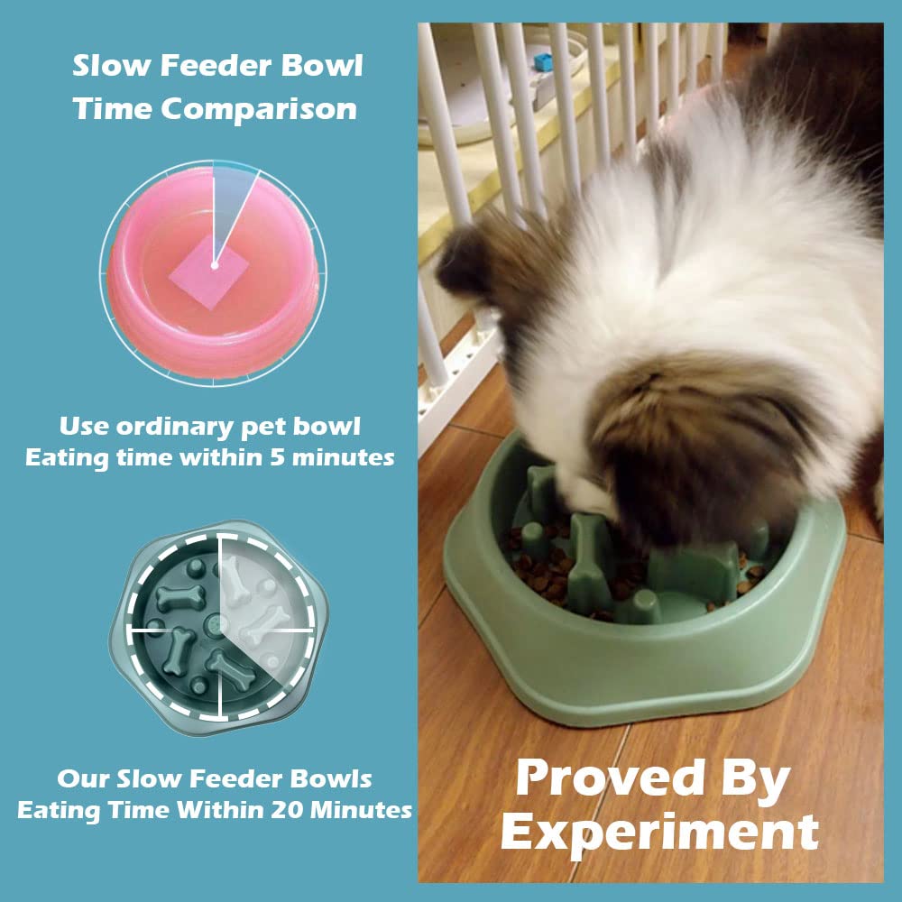 Innovative Pet SloDog Slow Feeding Dog Bowl - Turqoise  