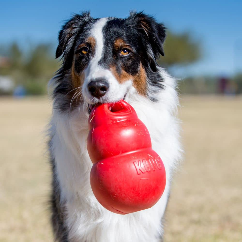 Kong Bounzer Squeak and Rubber Air-Filled Dog Toy Red - X-Large  