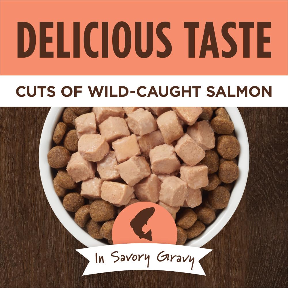 Instinct Healthy Cravings Grain-Free Salmon Wet Dog Food Pouch - 3 Oz - Case of 24  