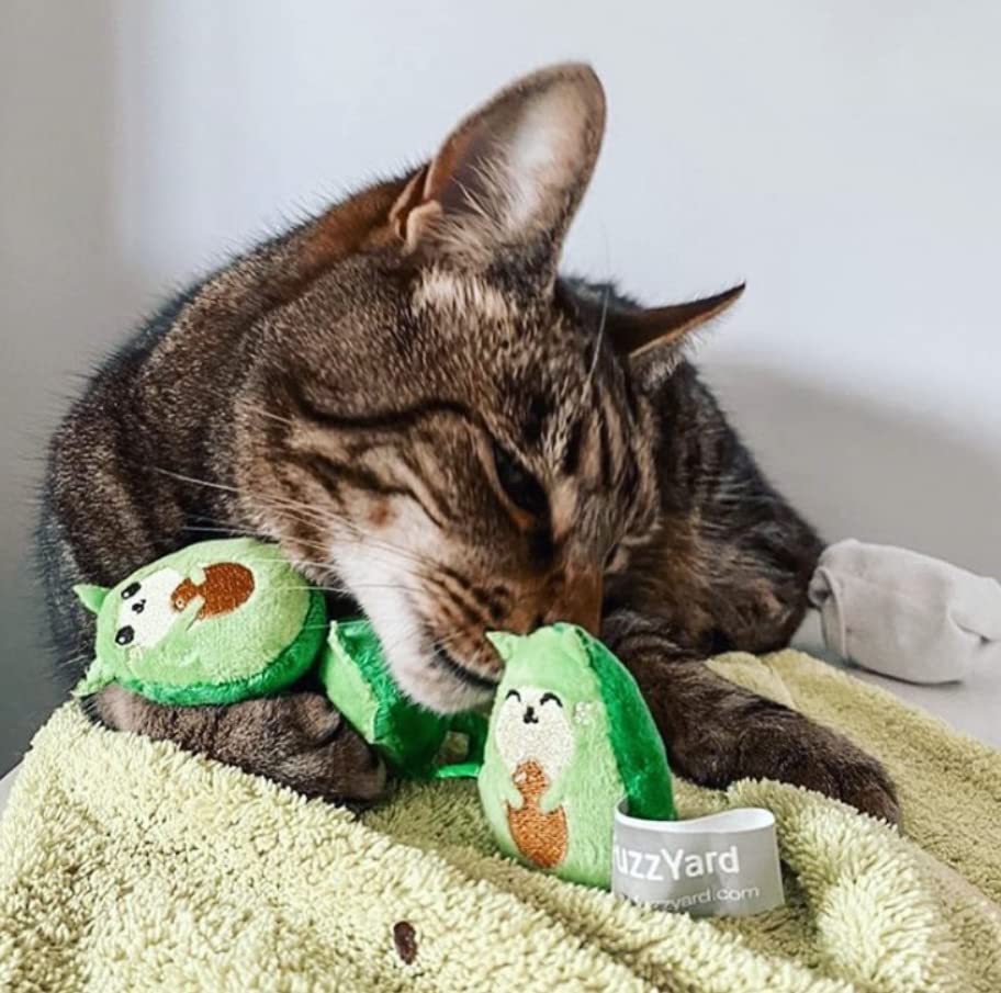 Snugarooz Kitty AvoCato Crinkle and Plush Catnip Cat Toy - 6" Inches  