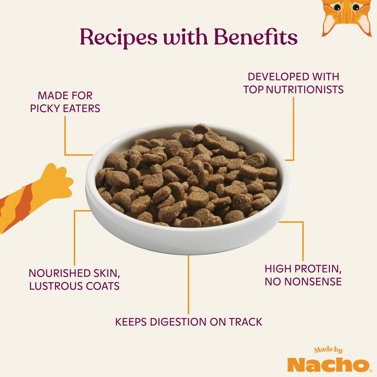 Made by Nacho Salmon and Pumpkin in Bone Broth Dry Cat Food - 4 Lbs  