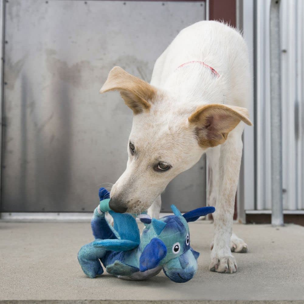 Kong Dragon Floppy Knots Squeak and Crinkle Dog Toy - Assorted - Medium/Large  