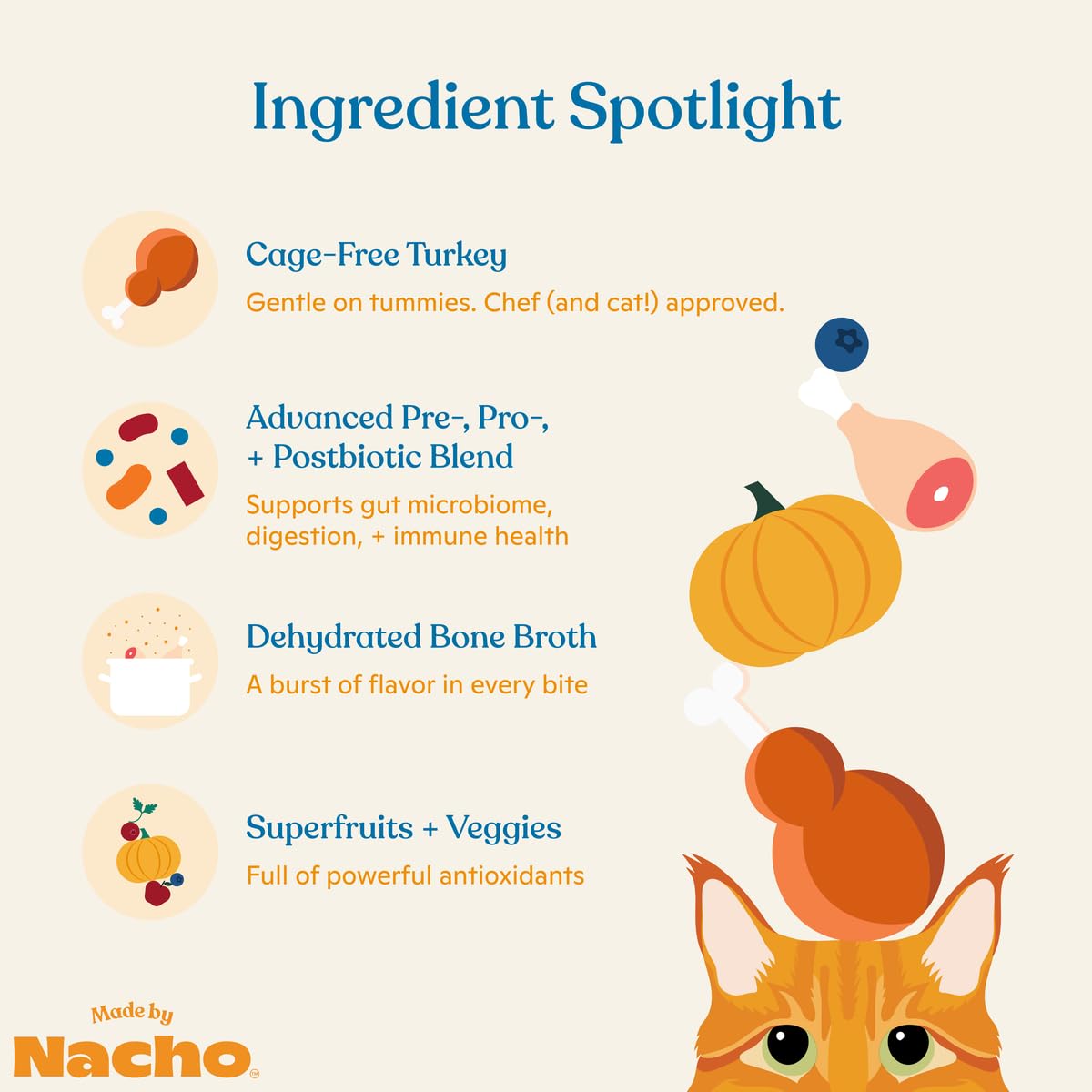 Made by Nacho Digestive Support Turkey and Pumpkin Dry Cat Food - 4 Lbs  