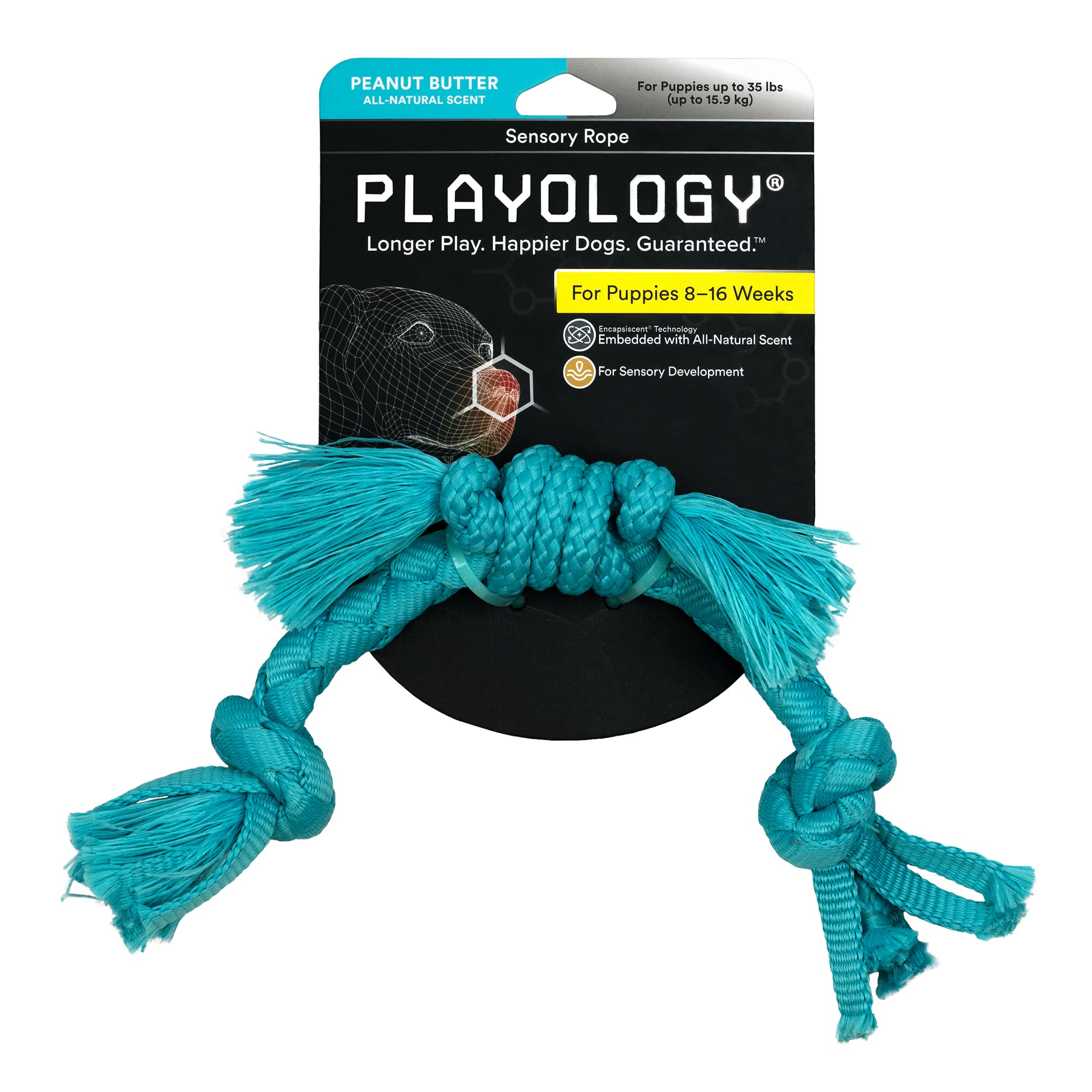 Playology Peanut Butter Scented Tough Knot Squeak and Rope Puppy Dog Toy with Encapsiscent Technology - Large  