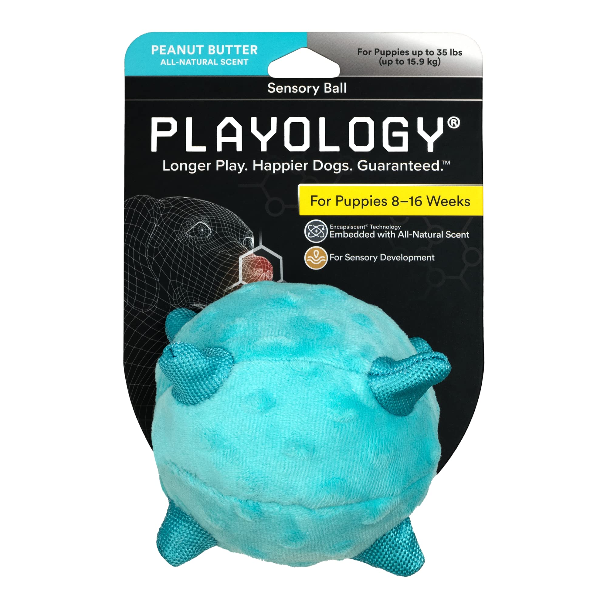 Playology Peanut Butter Scented Sensory Ball Squeak and Plush Puppy Dog Toy with Encapsiscent Technology - Small  