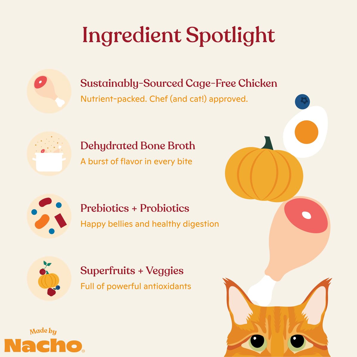 Made by Nacho Bone Broth Infused Chicken and Pumpkin Dry Cat Food - 4 Lbs  