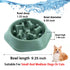 Innovative Pet SloDog Slow Feeding Dog Bowl - Green  