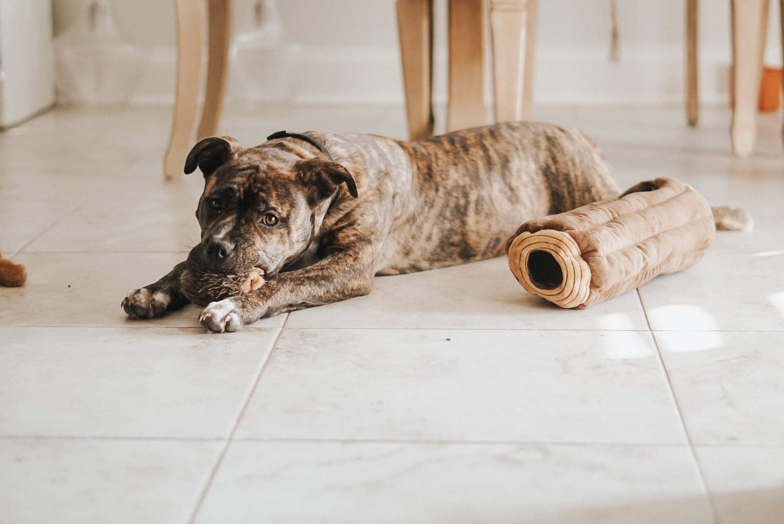 Zippy Paws Burrow Log Hide-and-Seek Interactive Squeak and Plush Dog Toy  