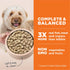 Instint Longevity 20% Freeze-Dried Raw and Kibble Blend Chicken Dry Dog Food - 3.8 Lbs  