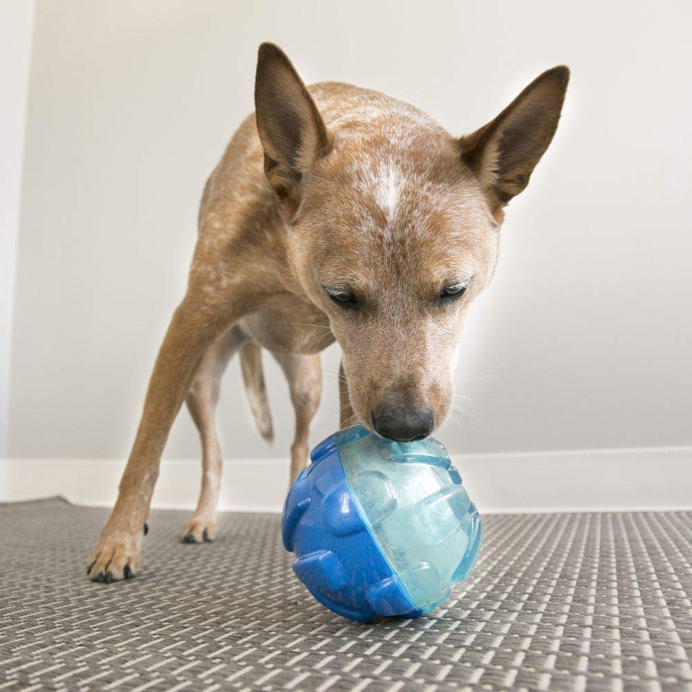 Kong Rewards Ball Treat Inserting Interactive Feeding Dog Toy - Small  