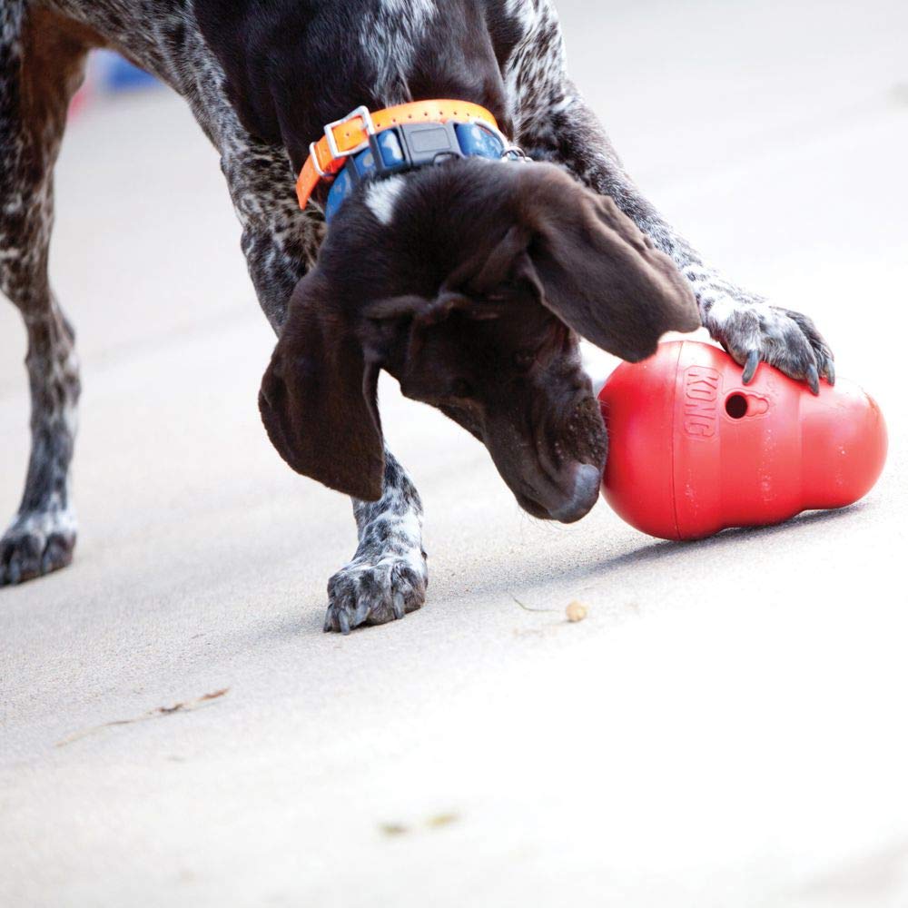 Kong Wobbler Food and Treat Dispensing Slow Feeding Rubber Dog Toy - Small  