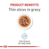 Royal Canin Size Health Nutrition Thin Slices in Gravy Large-Breed Puppy Wet Dog Food - 13 Oz - Case of 12  