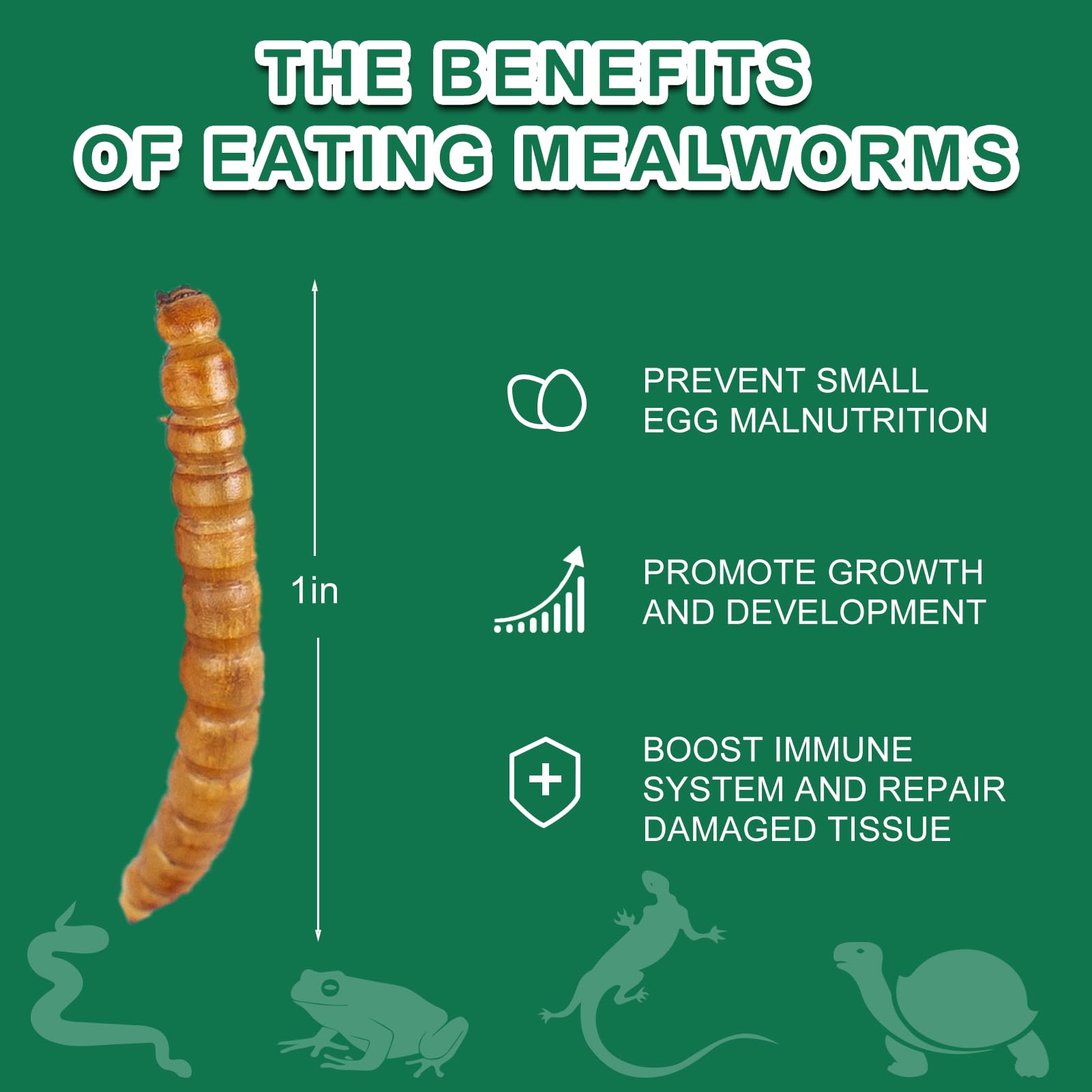 Jurassipet Jurrassidiet Easi-Worms Moist Mealworms Reptile Food - Large - 3/4-1 Inch - 1.2 Oz  