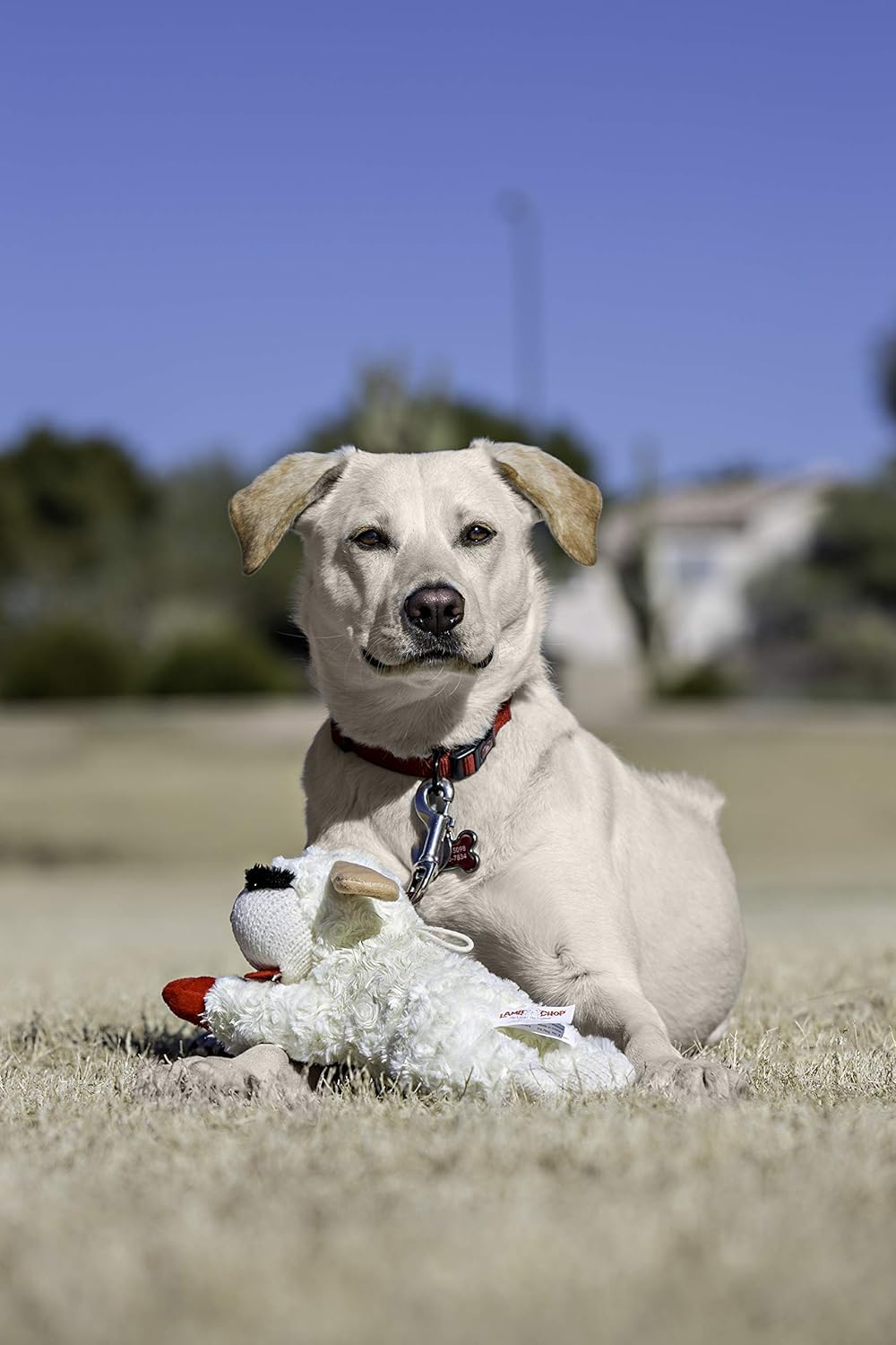 Multipet Lamb Chop Squeaky Plush Dog Toy - 10