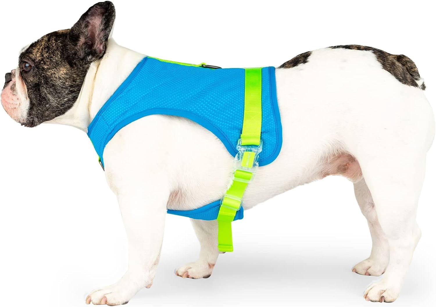 Canada Pooch Chill Seaker Reflective and Cooling Dog Harness