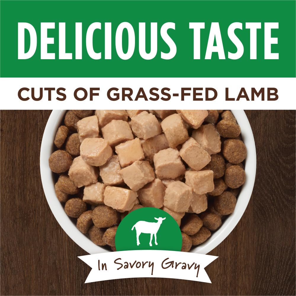 Instinct Healthy Cravings Grain-Free Lamb Wet Dog Food Pouch - 3 Oz - Case of 24  