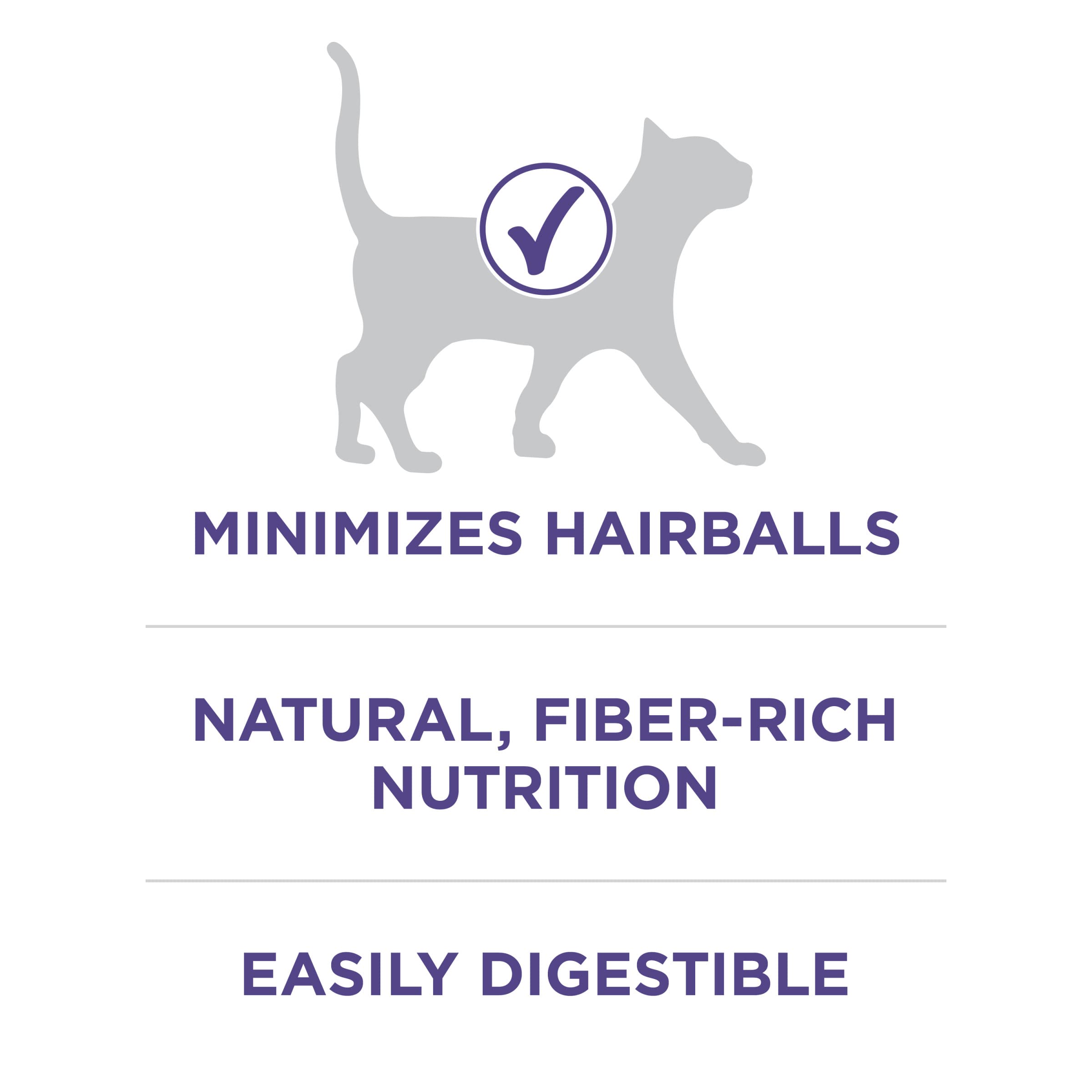 Purina One Advanced Hairball and Immune Support Formula Chicken Dry Cat Food - 3.5 Lbs - Case of 4  