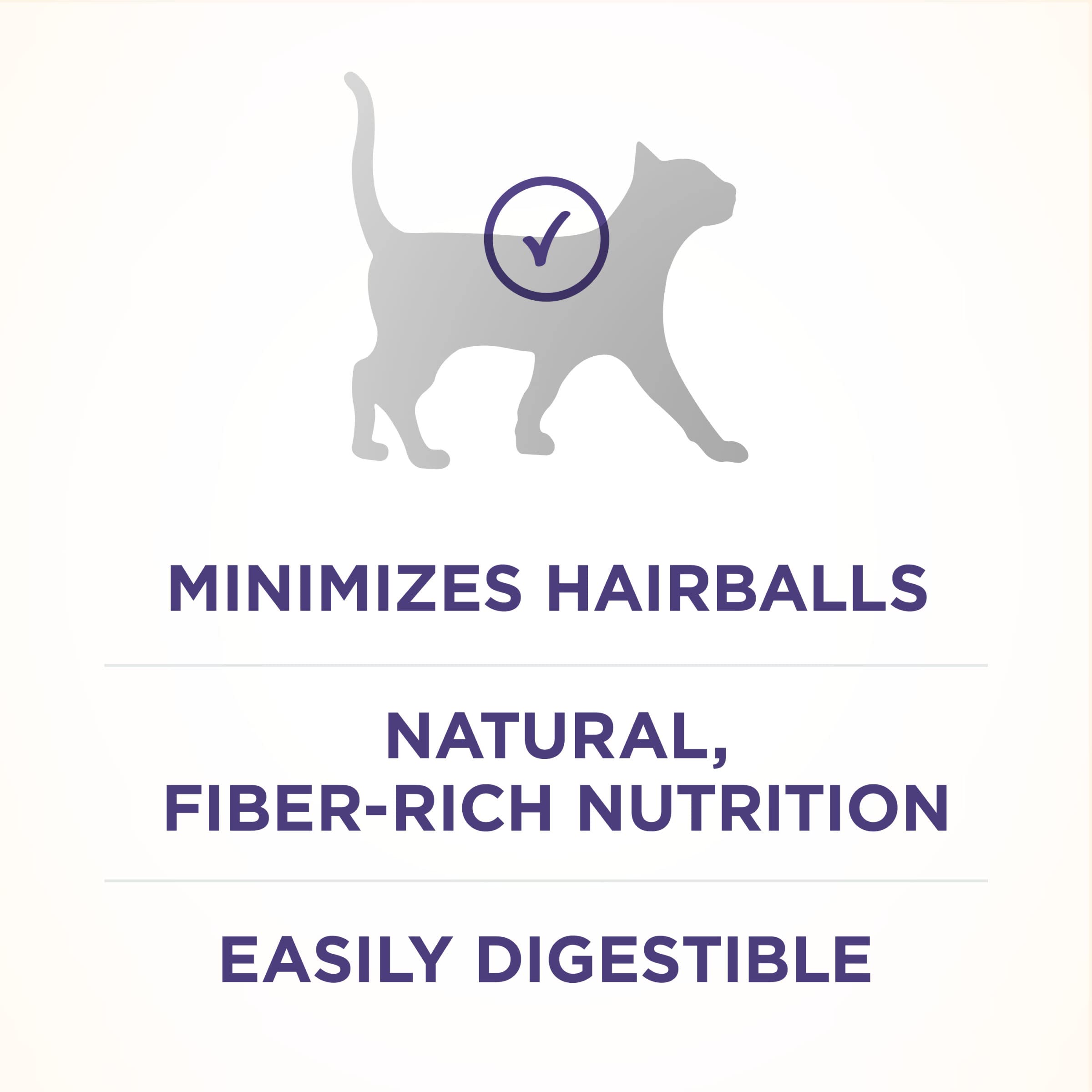 Purina One + Plus Hairball Formula Immune Support Adult Chicken Dry Cat Food - 7 Lbs - Case of 4  