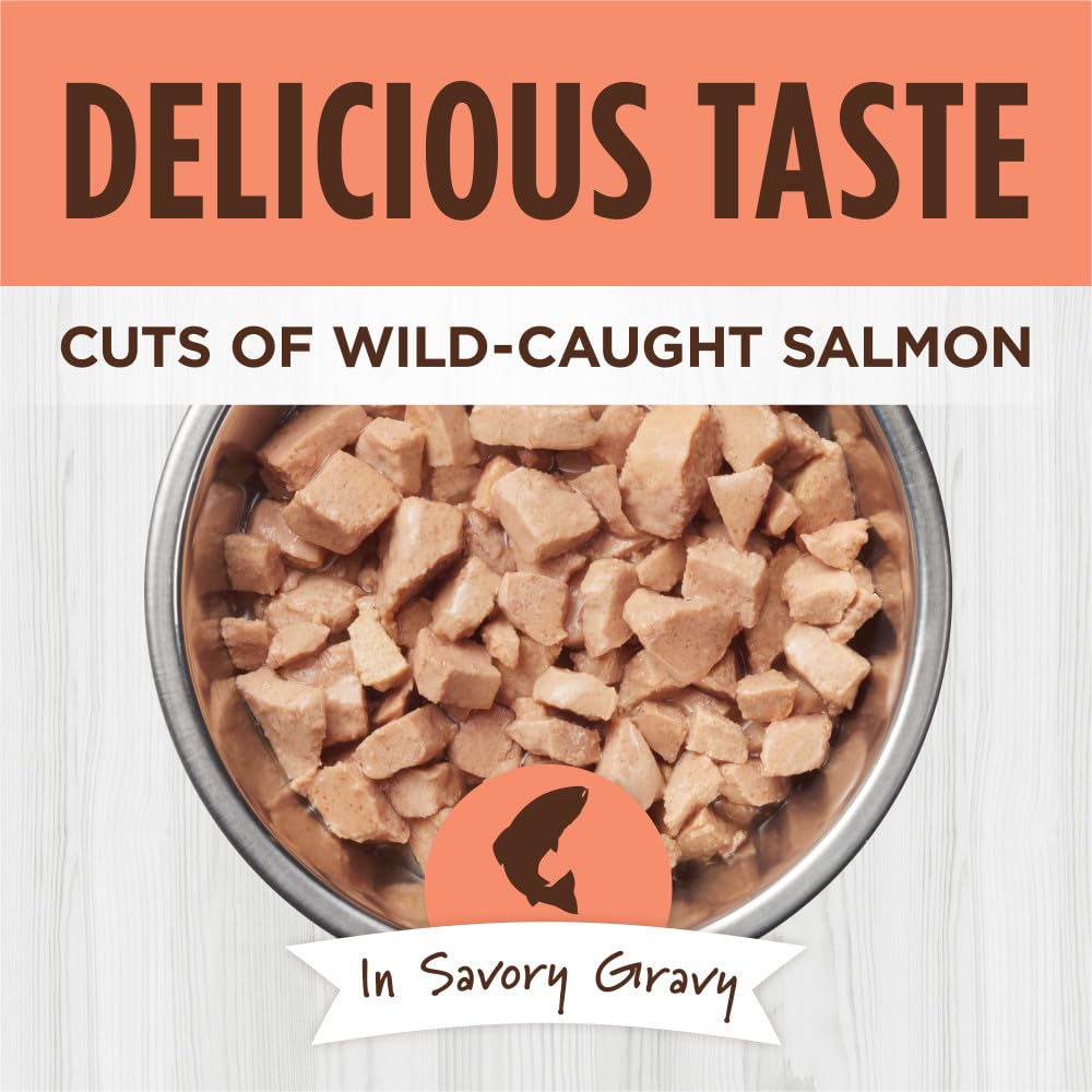 Instinct Healthy Cravings Grain-Free Salmon Wet Cat Food Pouches - 3 Oz - Case of 24  